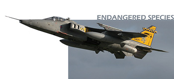 16 & 54 Squadron Disbandment 2005 Title Image