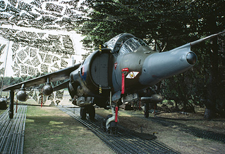 The BAe Harrier: A Tribute
