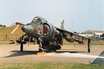 The BAe Harrier: A Tribute