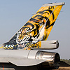 NATO Tiger Meet 2009 Report