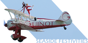 Southend Festival Of The Air 2009 Title Image