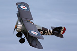 Shuttleworth Collection 'Best of British' Evening Airshow